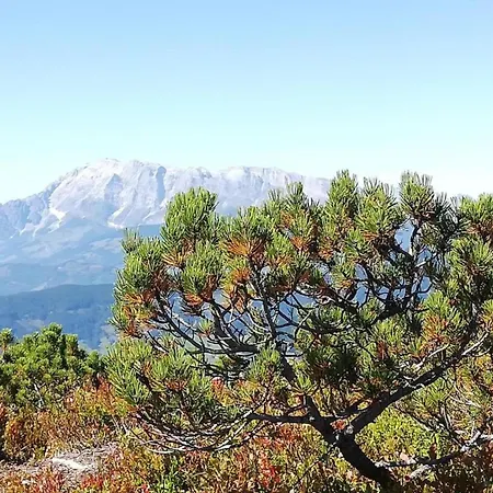 With Terrace In Kaprun, Salzburg, Cleaning Included شقة *
