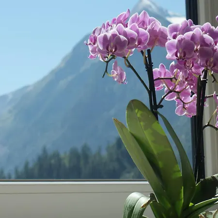 Near Lift & Glacier, Cleaning Included *